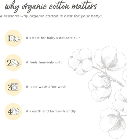 Unisex Short Sleeve Organic Cotton Bodysuits, 3-Pack