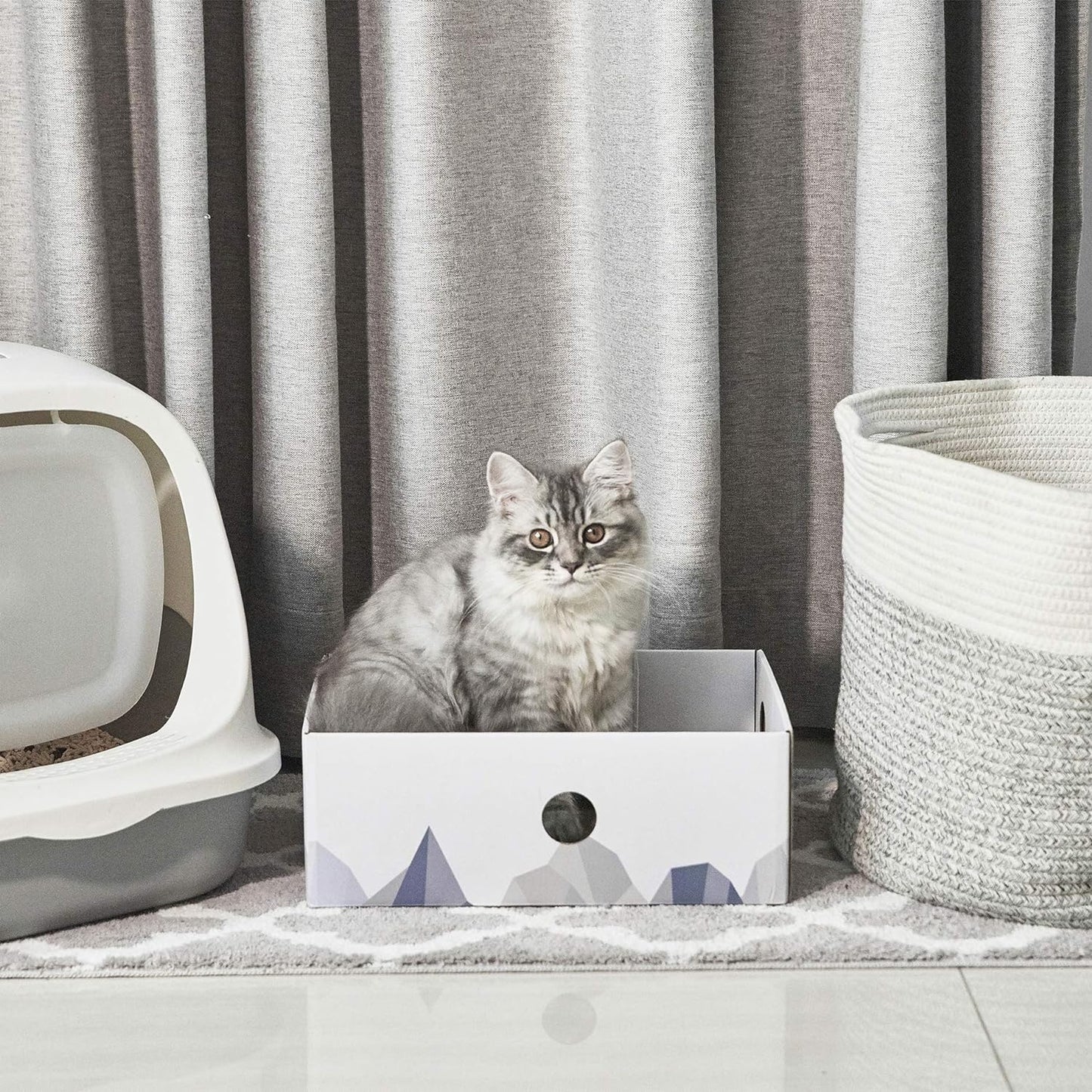 Cat Scratcher Box with Heavy-Duty Double-Sided Cardboard Pad, Cardboard Lounger, Interactive Hole Design, Cat Bed for Indoor Cats, White, Large